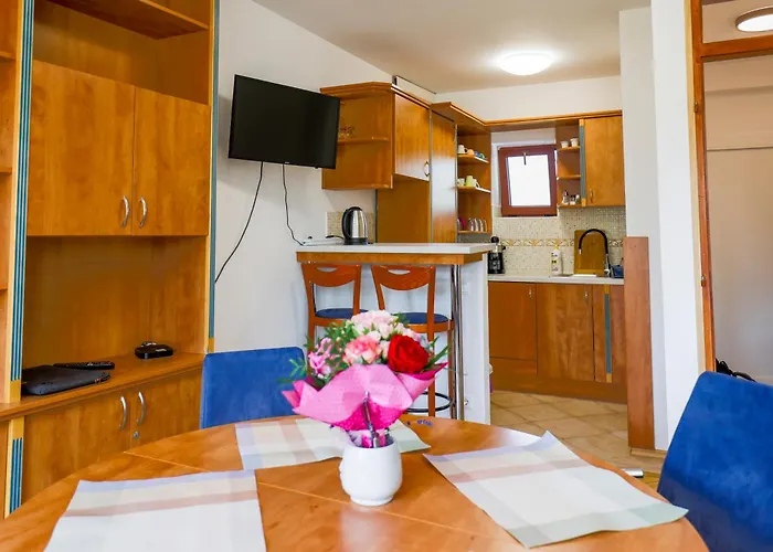 Roger Federer Apartmanja * 巴拉顿菲赖德
